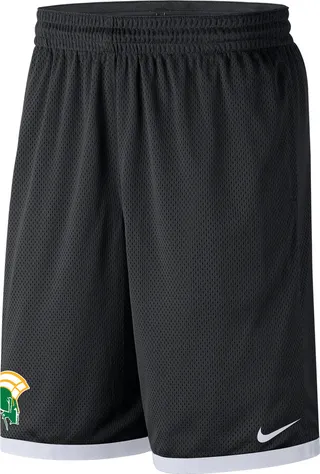 Norfolk State Nike Men's College Mesh Shorts in Black