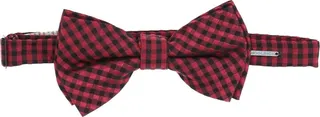 Ties & Bow Ties Red