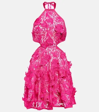 Halter-neck lace midi dress