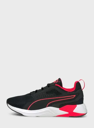 Disperse Xt