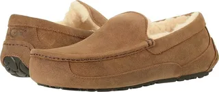 UGG Ascot - WIDE (Chestnut) Men's Slippers