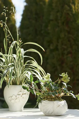 Coastal Garden Pot White