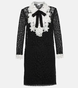 Lace tie-neck minidress