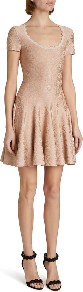 Lace Printed Scoop-Neck Mini A-Line Dress