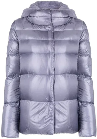 Hooded Puffer Jacket