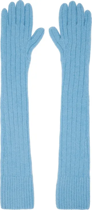 Dries Van Noten Blue Long Gloves