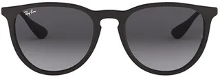 Ray-Ban Erika Classic Sunglasses