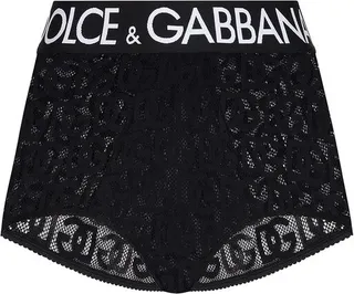 Dolce & Gabbana Logo Waistband Semi-Sheer Panties