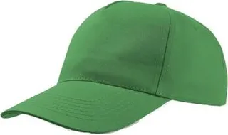Atlantis Start 5 Panel Cap - Light Green