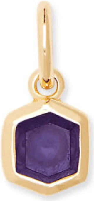 Davie 18k Gold Vermeil Charm in Blue Iolite