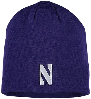Men's Purple Northwestern Wildcats Ezdozit Knit Beanie