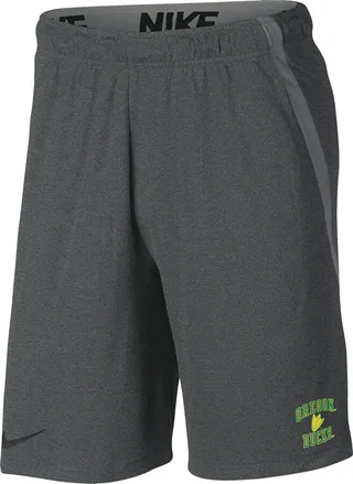 Oregon Nike Men's College Shorts in Grey