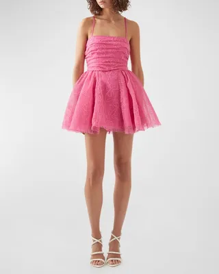 Evangeline Cornelli Embroidered Chiffon Mini Dress