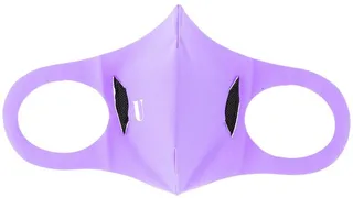 Model 2.2 face mask