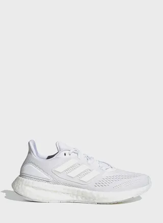 Pureboost 22