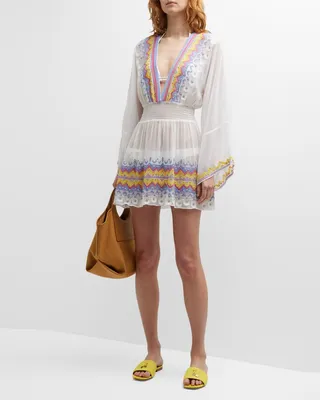 Autumn Embroidered Semi-Sheer Mini Dress