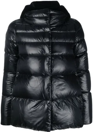 Quilted Hooded Puffer Jacket
