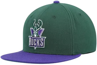 Men's Mitchell & Ness Green and Purple Milwaukee Bucks Hardwood Classics Team Two-Tone 2.0 Snapback Hat