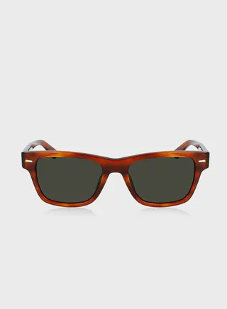 Wayfarer Sunglasses