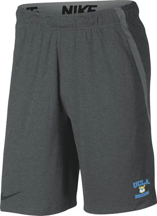 UCLA Nike Men's College Shorts in Grey