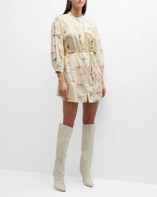 The New To Town Mini Shirtdress