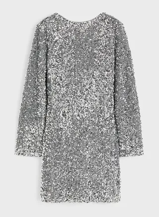 Sequin Detail Dress