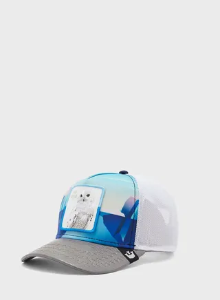 Chill Owlt Curved Peak Caps