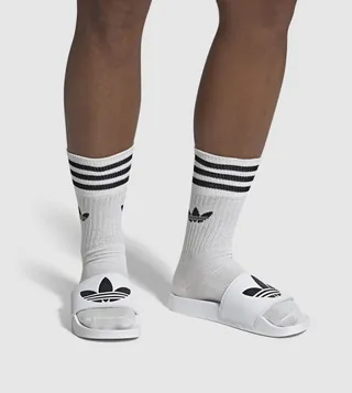 Logo Detailed Slides