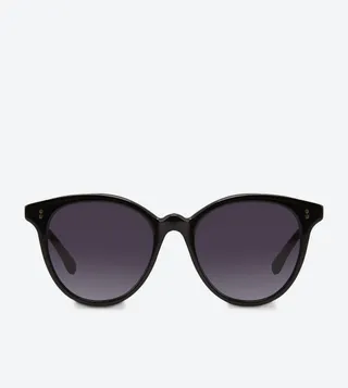 Aaryn Full Rim Sunglasses - Black