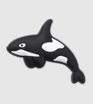 Arctic Orca