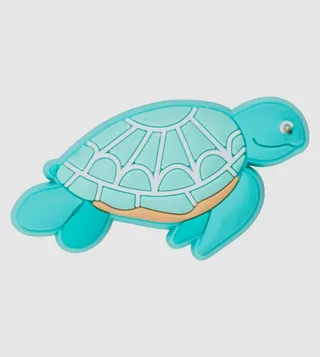 Sea Turtle