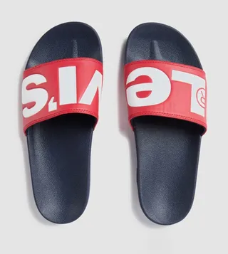 Logo Printed Slides