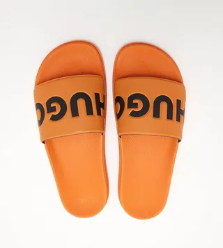 Logo Detail Slides