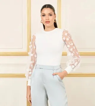 Floral Applique Sheer Sleeves Ribbed Knit Top