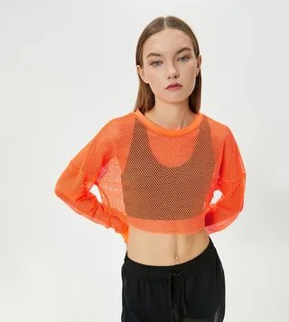 Long Sleeves Fishnet Crop Top
