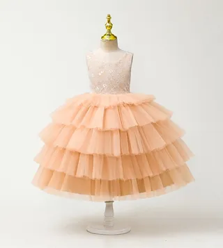 Lace Detail Layered Tulle Dress