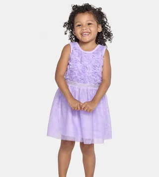 Baby And Toddler Girls 3D Rosette Mesh Fit And Flare Dress