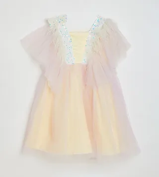 Dragonfly Sequins Dress