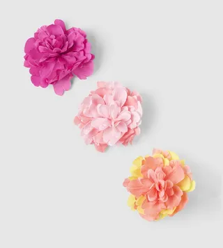 Set of 3 Hair Clips