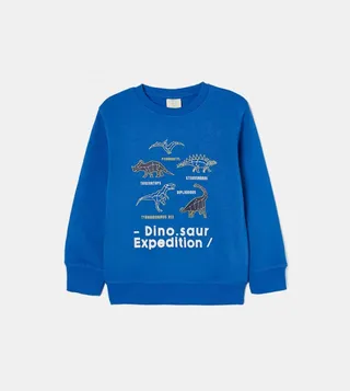 Boys Printed Long Sleeves Sweatshirt