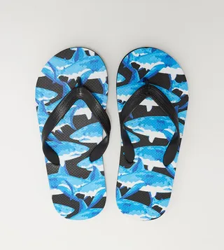 Shark Printed Flip-Flops