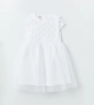 Embroidered Crew Neck Tulle Dress