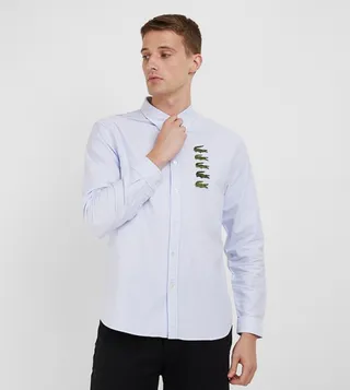 Striped Button-Down Collar Shirt
