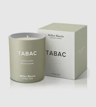 Tabac Scented Candle, 220 gm