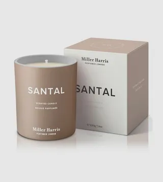 Santal Scented Candle, 220 gm