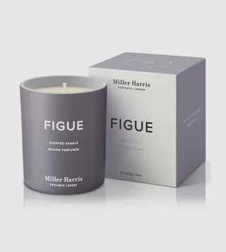 Figue Scented Candle, 220 gm