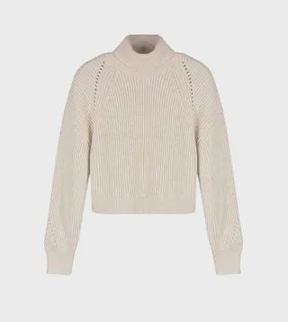 Knitted Turtleneck Long Sleeves Sweater