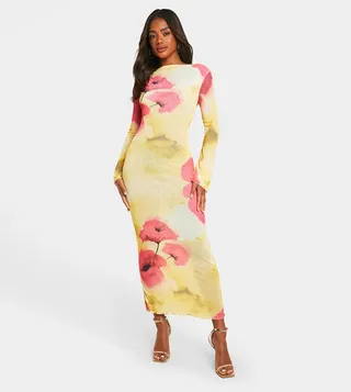 Sheer Floral Print Long Sleeves Maxi Dress