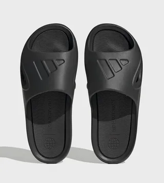 ADICANE Logo Detail Slides