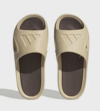 ADICANE Logo Detail Slides